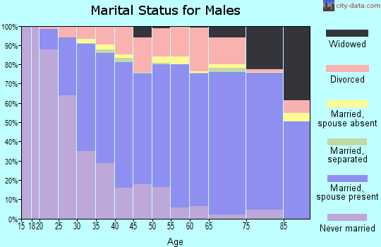 Zip code 56601 marital status for males