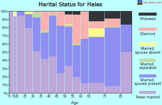 Zip code 56633 marital status for males