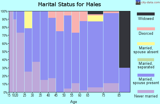 Zip code 56634 marital status for males