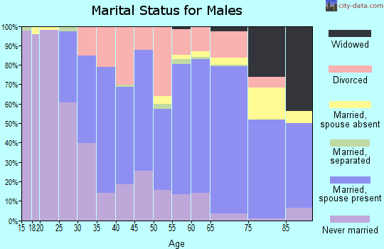 Zip code 56636 marital status for males