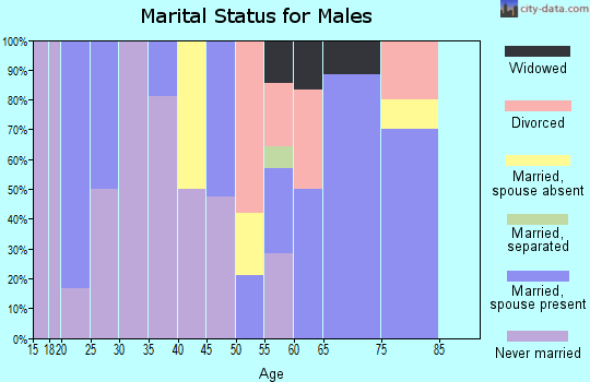 Zip code 56641 marital status for males