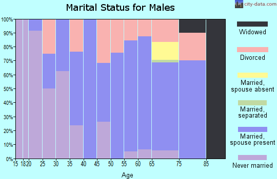 Zip code 56650 marital status for males