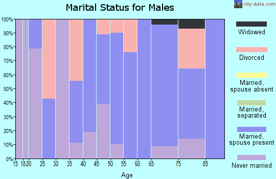 Zip code 56652 marital status for males