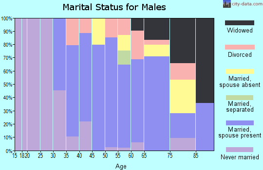 Zip code 56653 marital status for males