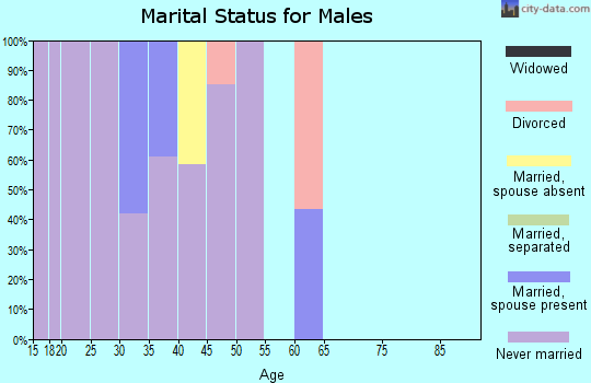 Zip code 56666 marital status for males