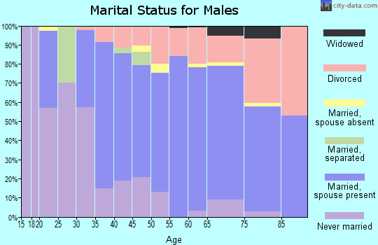 Zip code 56672 marital status for males