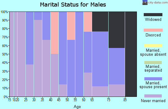Zip code 56684 marital status for males