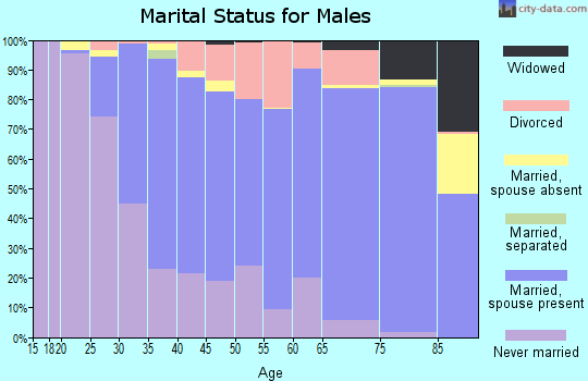Zip code 56701 marital status for males