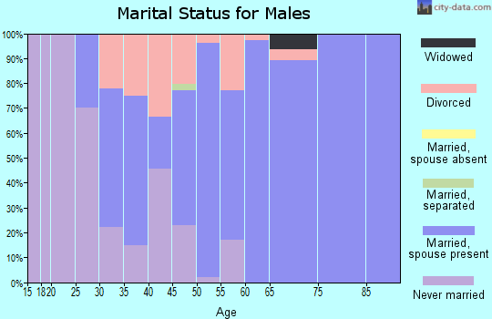 Zip code 56713 marital status for males