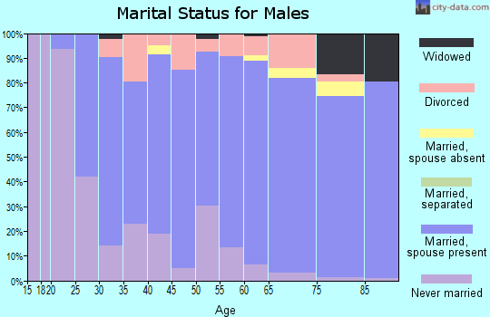 Zip code 56721 marital status for males