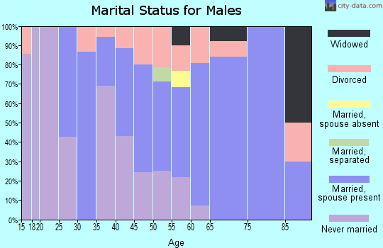 Zip code 56725 marital status for males