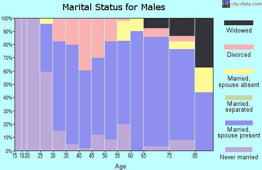 Zip code 56726 marital status for males