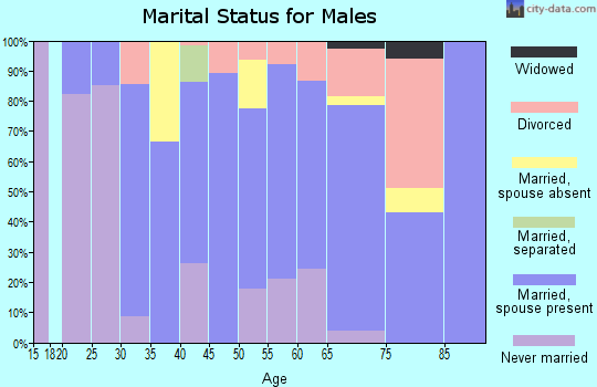 Zip code 56728 marital status for males