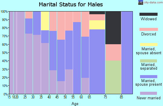 Zip code 56734 marital status for males