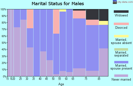 Zip code 56735 marital status for males