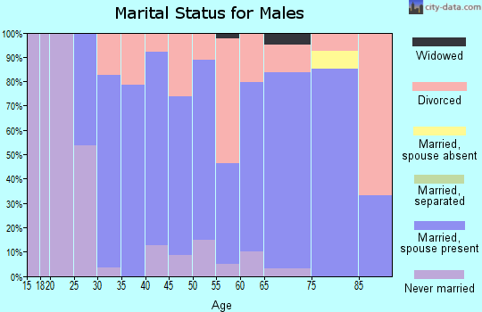 Zip code 56737 marital status for males