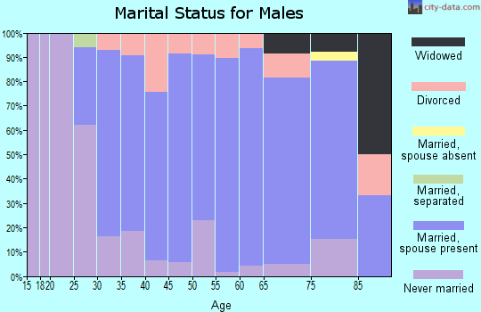 Zip code 56738 marital status for males