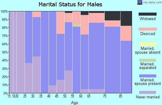 Zip code 56742 marital status for males