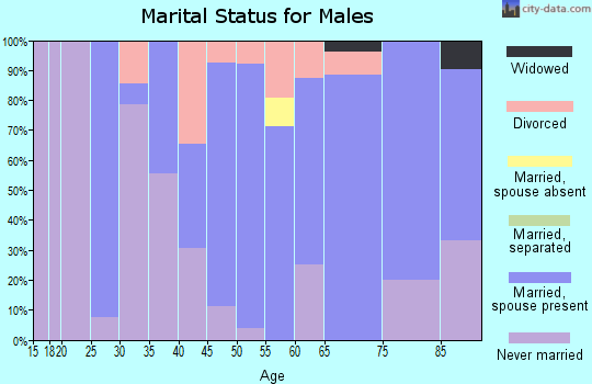 Zip code 56744 marital status for males