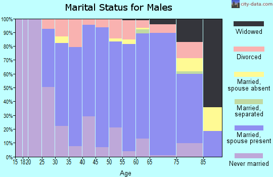 Zip code 56751 marital status for males