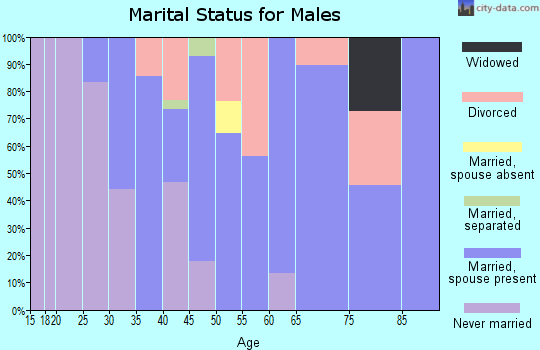 Zip code 56754 marital status for males