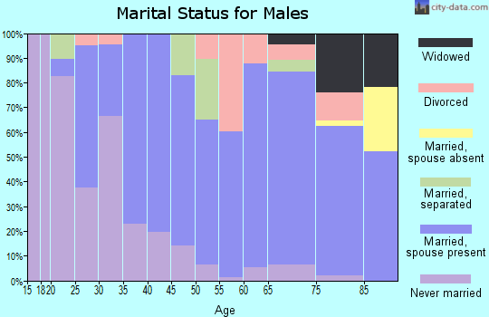 Zip code 57001 marital status for males