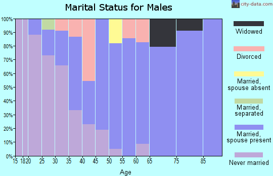 Zip code 57002 marital status for males