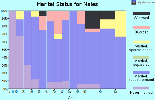Zip code 57003 marital status for males