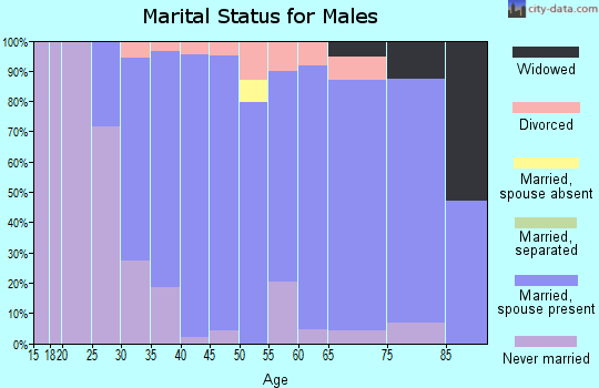 Zip code 57004 marital status for males