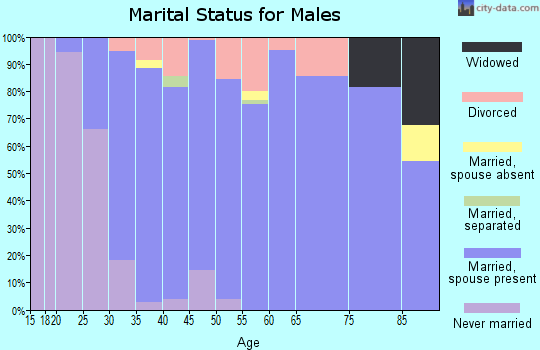 Zip code 57005 marital status for males