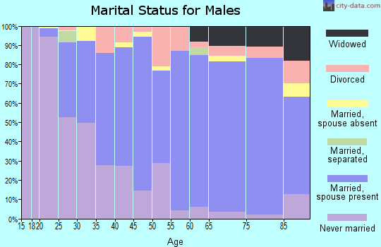 Zip code 57006 marital status for males