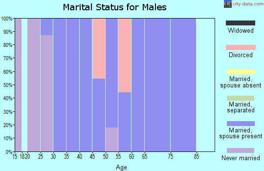 Zip code 57010 marital status for males