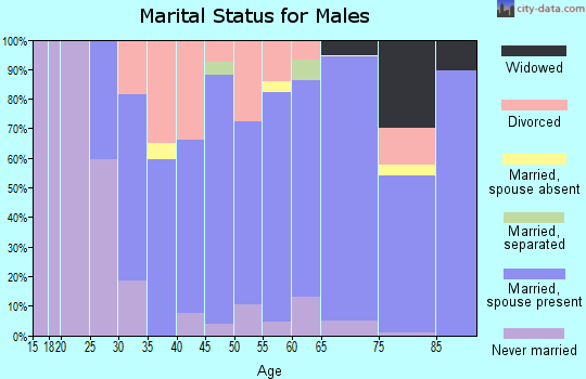 Zip code 57013 marital status for males