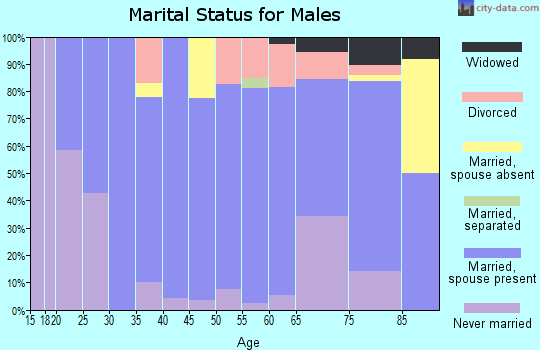 Zip code 57029 marital status for males