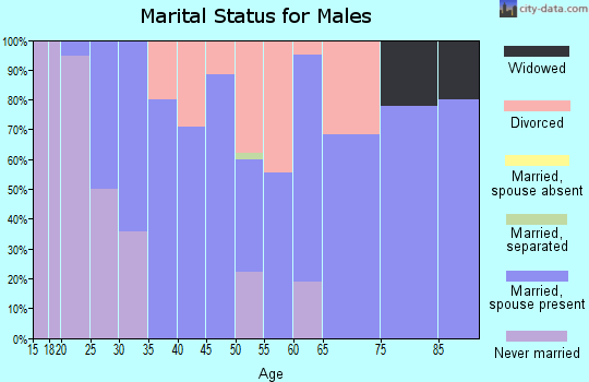 Zip code 57031 marital status for males