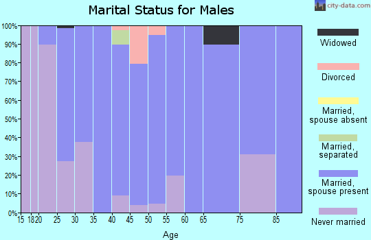 Zip code 57032 marital status for males
