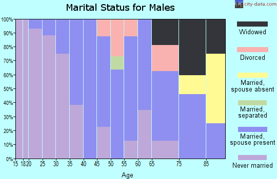 Zip code 57034 marital status for males