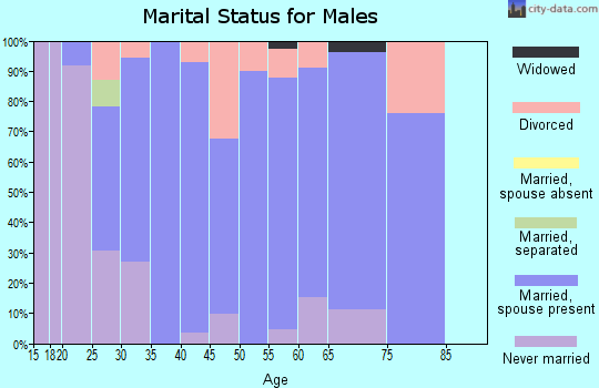 Zip code 57035 marital status for males