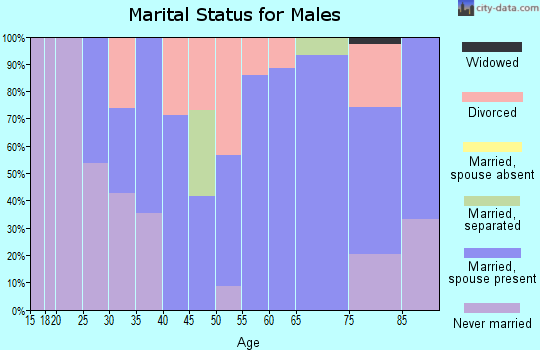 Zip code 57037 marital status for males