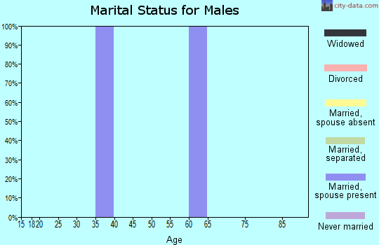 Zip code 57041 marital status for males