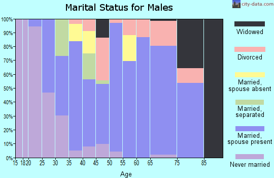 Zip code 57049 marital status for males