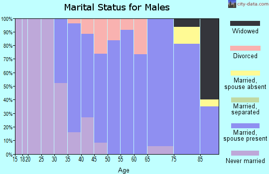 Zip code 57059 marital status for males