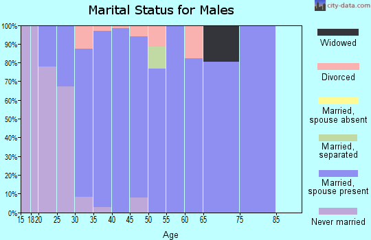 Zip code 57064 marital status for males