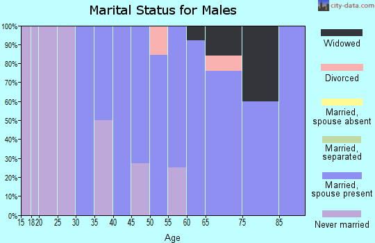 Zip code 57065 marital status for males