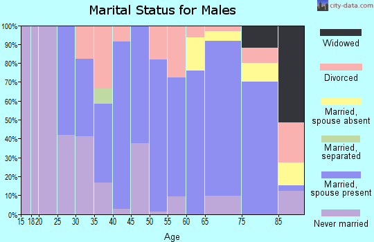 Zip code 57066 marital status for males