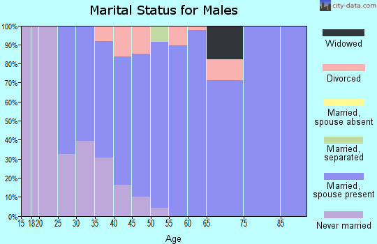 Zip code 57068 marital status for males