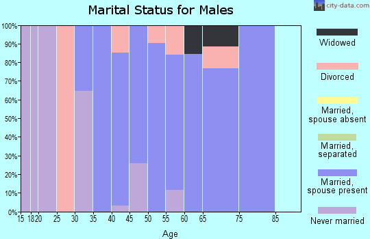 Zip code 57072 marital status for males