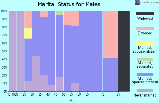Zip code 57077 marital status for males