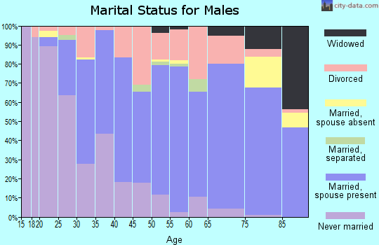 Zip code 57105 marital status for males