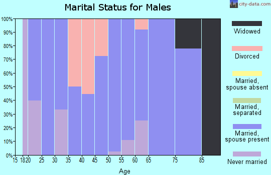 Zip code 57220 marital status for males
